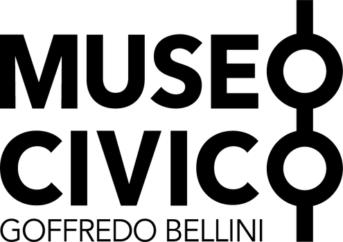 Museo Civico Goffredo Bellini